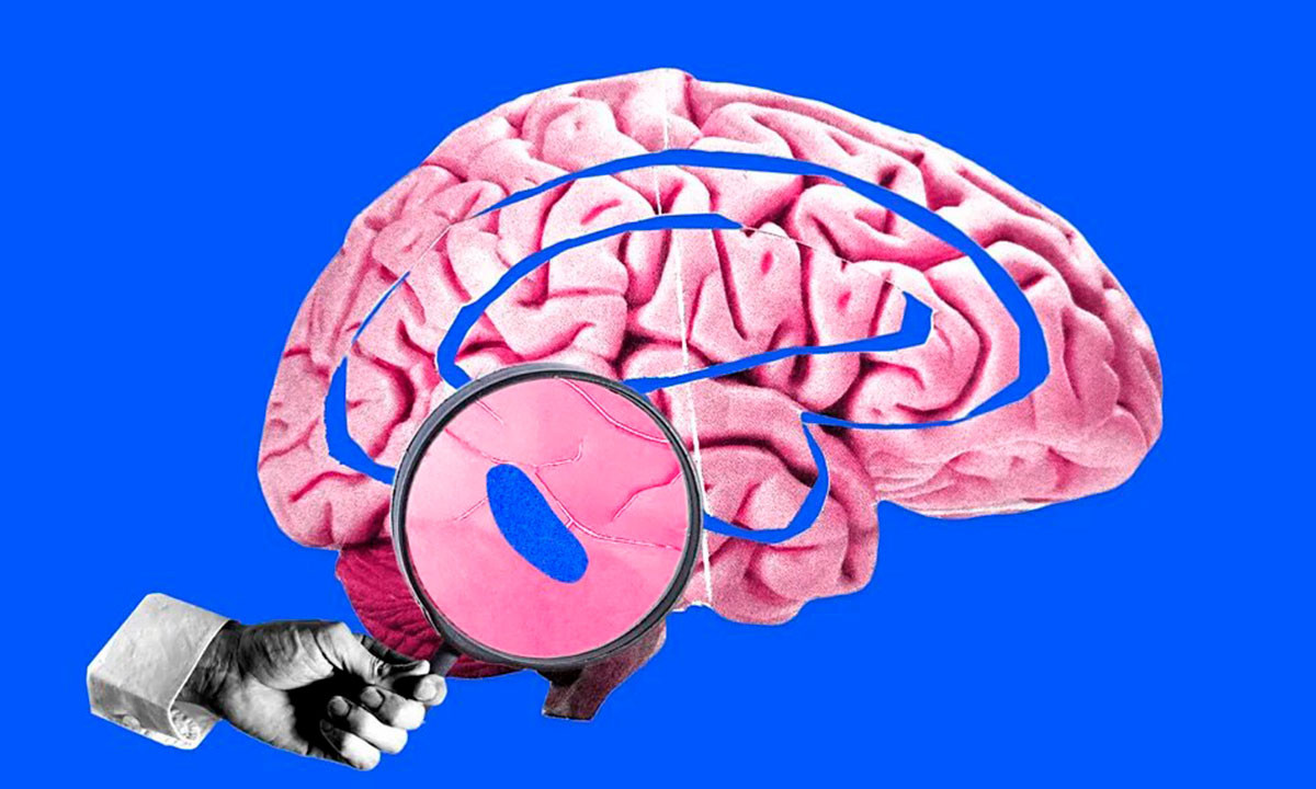 Brain regulates sleep