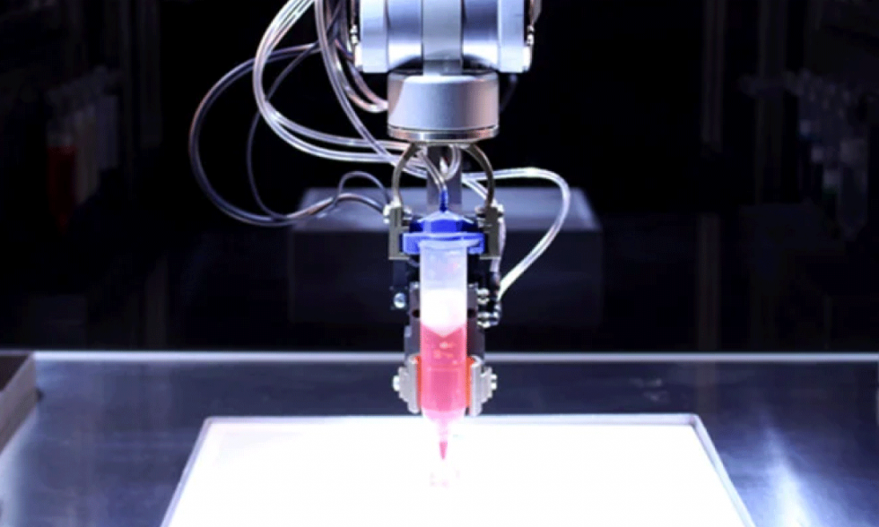 Innovador método de bioimpresión 3D de tejido adiposo revoluciona la medicina regenerativa 3