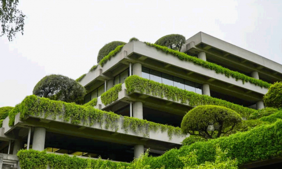 Luxury Hotels and Sustainability Redefining Excellence through Environmental Leadership