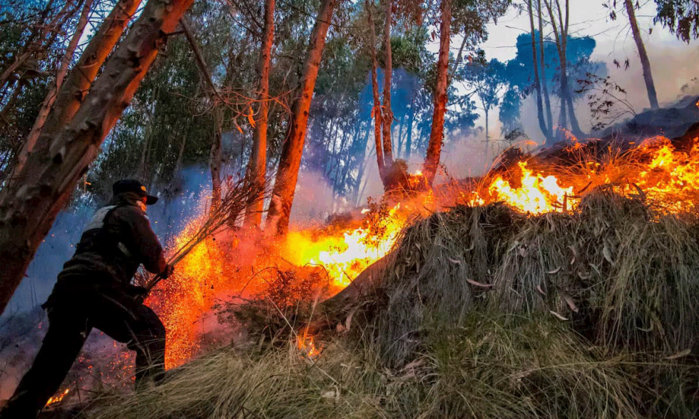 Disaster Risk Reduction in a Changing World Challenges and Educational Solutions
