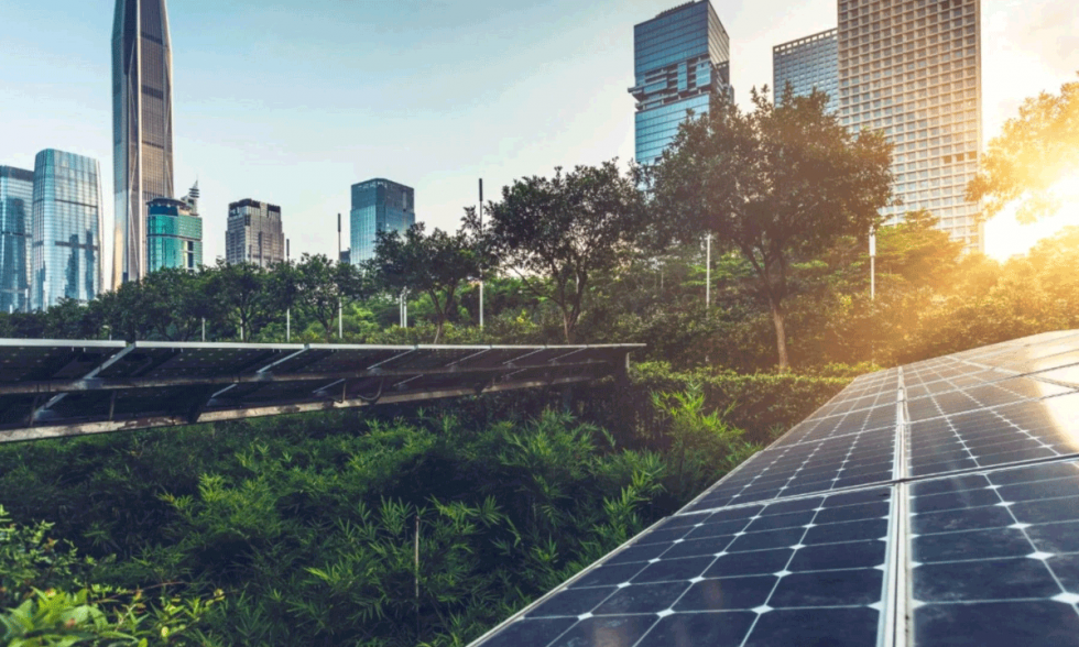 Environmental Management Preparing Global Leaders for Sustainable Solutions