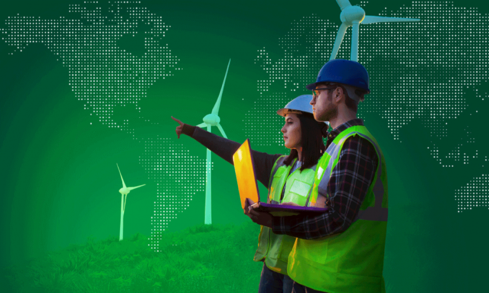 Sustainability Systems The Executive Skill Gap in the Global Renewable Energy Transition